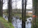 étang de Péronne